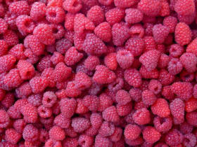 Valrhona.com-Seasonal Flavors - A spotlight on raspberries