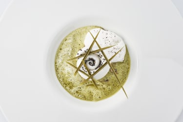 Gastronomic brunch 26.06