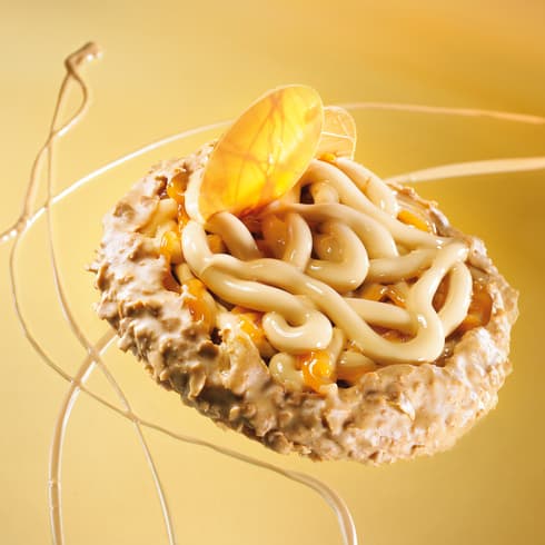 Recette Tarte Abricot Dulcey