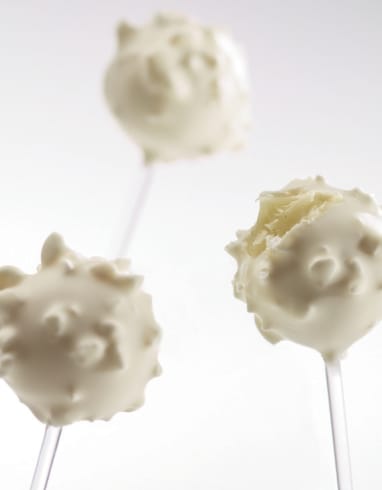 APOLLO BASIL LEMON LOLLIPOP RECIPE