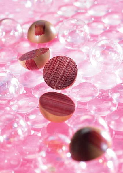 Duchess Of Burgundy | Valrhona Chocolate