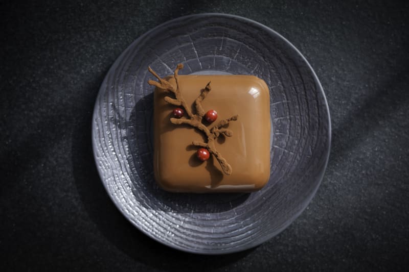 Cranberry Cube | Valrhona
