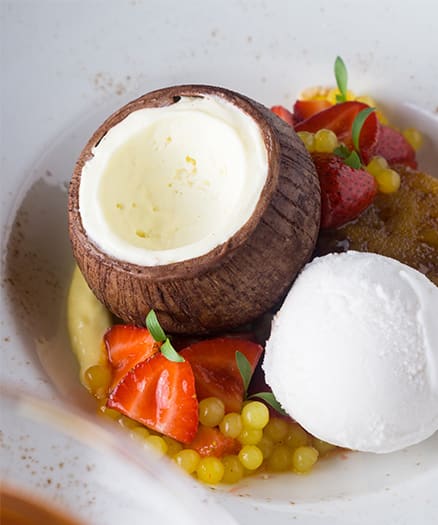 The Coconut | Valrhona