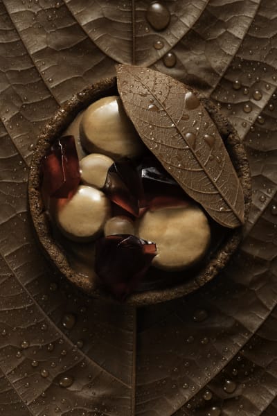 100% vegan | Valrhona Chocolate