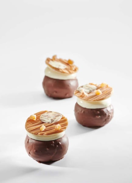 Mont Gerbier | Valrhona Chocolate
