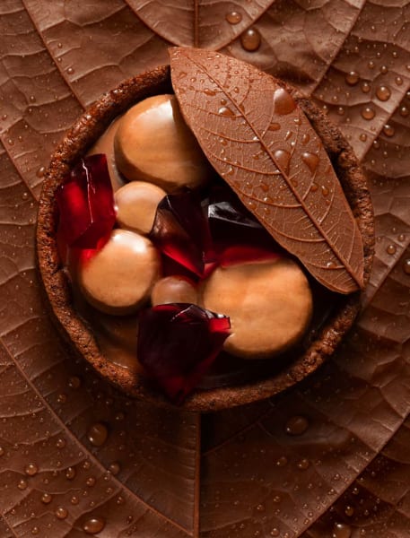 100% Vegan | Valrhona