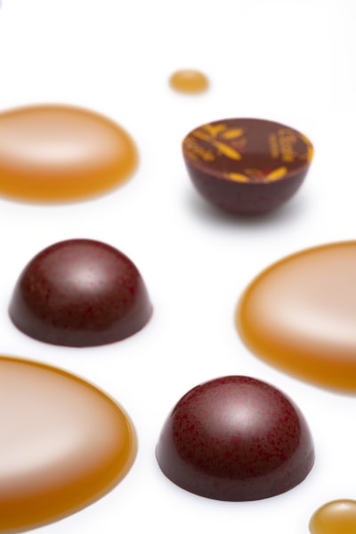 Molded Oabika Chocolate Bonbon | Valrhona Chocolate