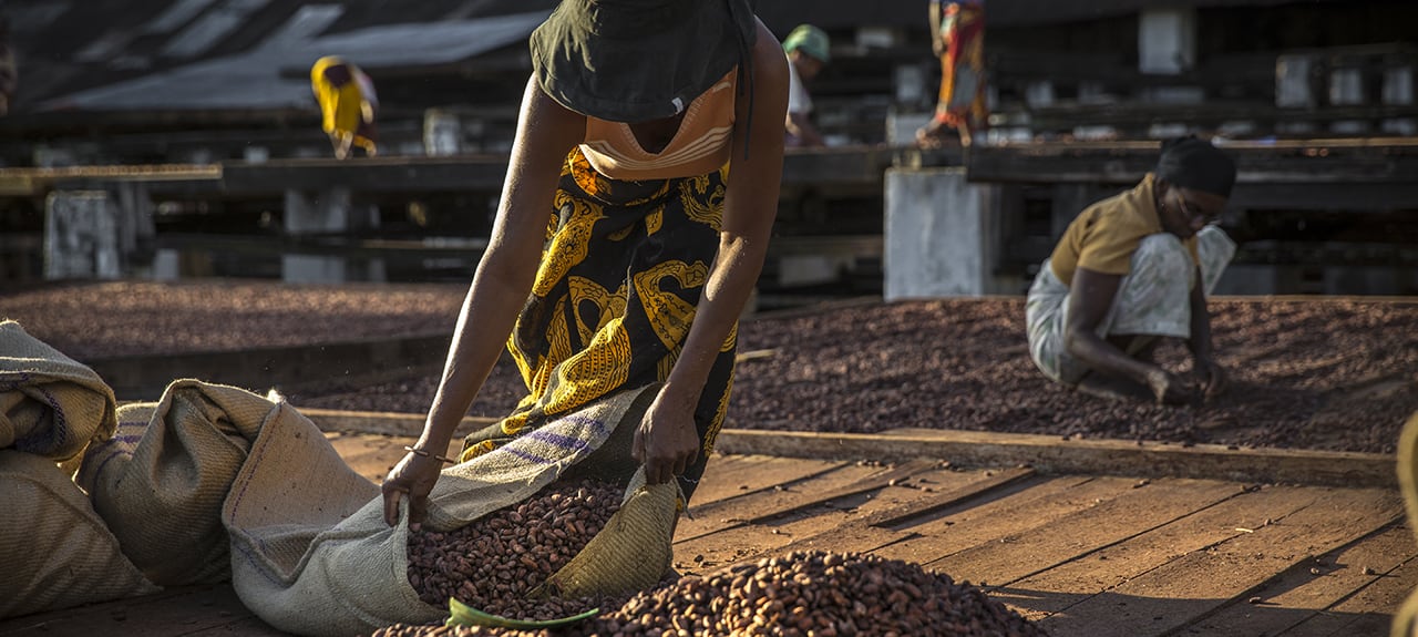 Madagascar Cocoa Beans