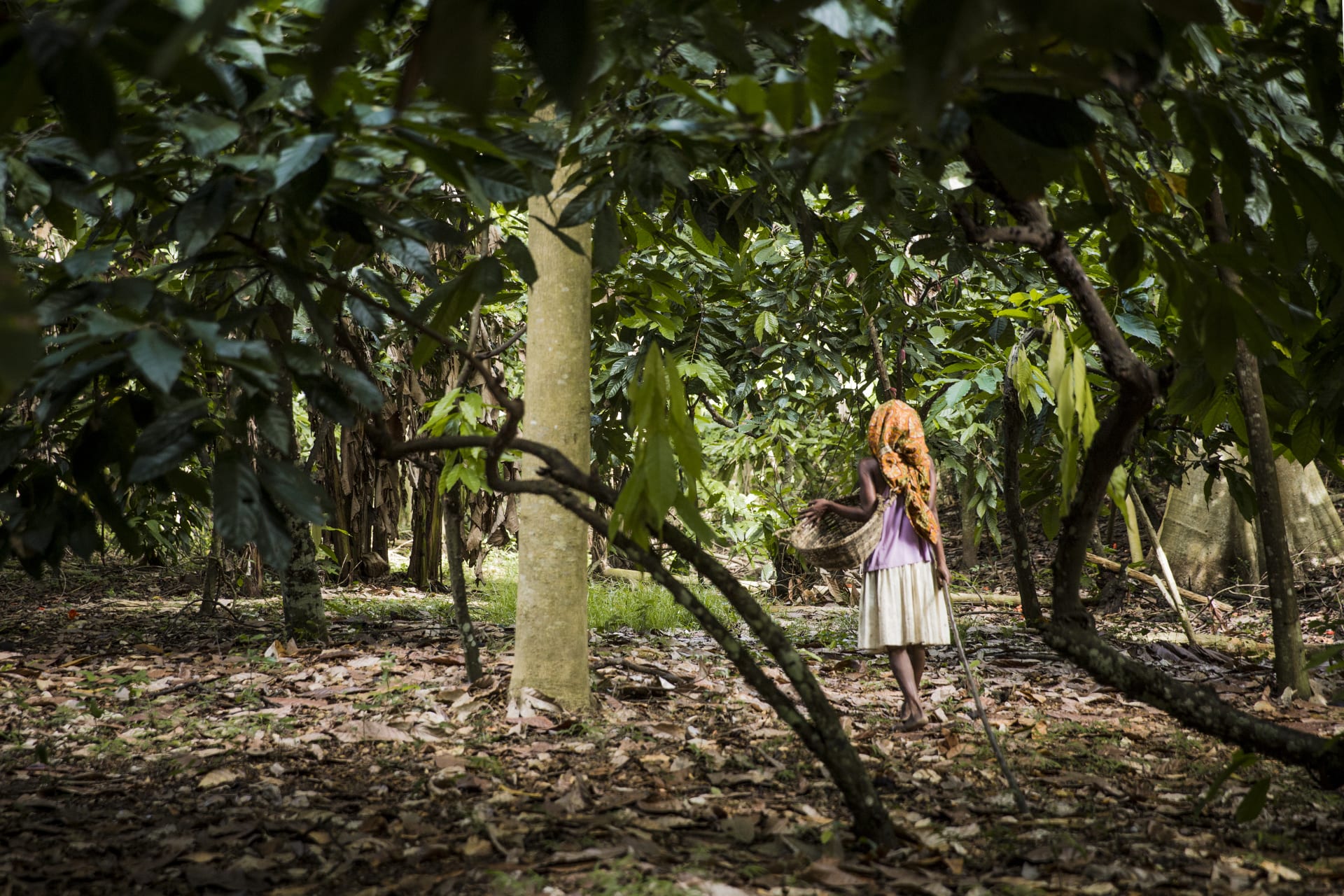 productrice Madagascar