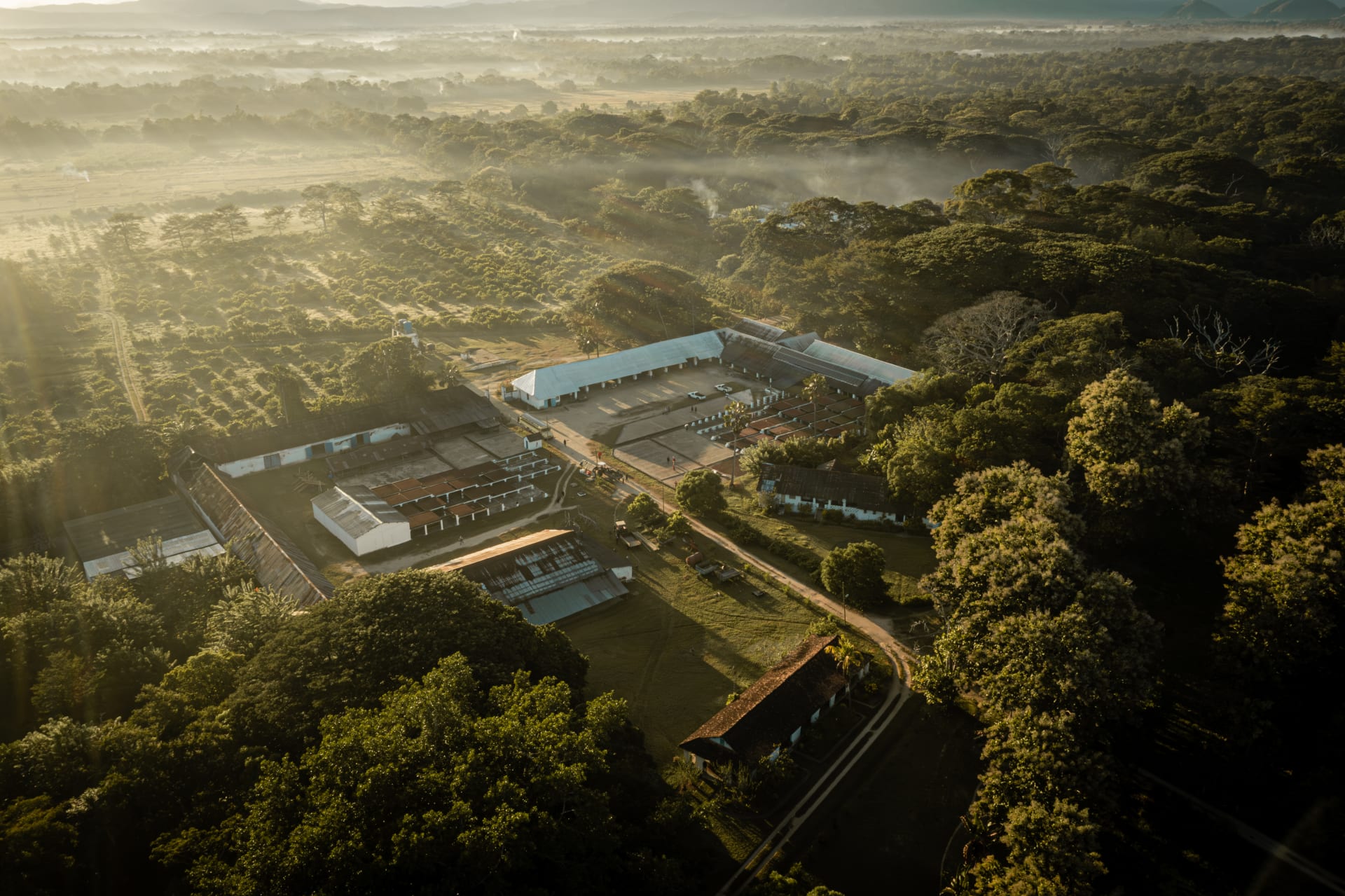 Coopérative Millot Madgascar