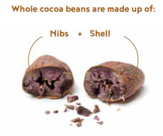 Whole cocoa beans
