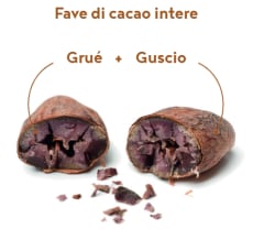 fave di cacao