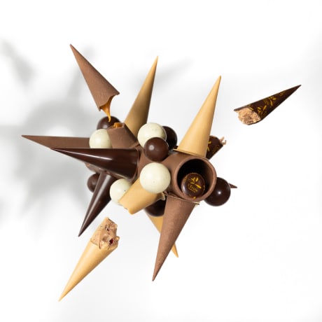 Stella: the Chocolatier's Yule Log by L’École Valrhona