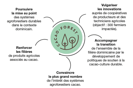 infographie cacaoforest fr