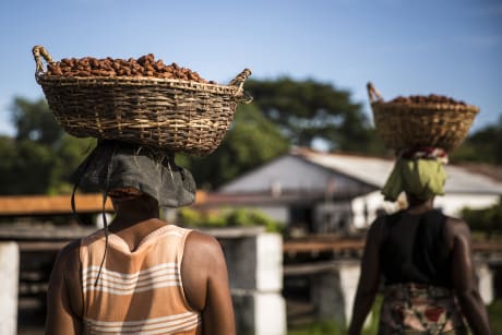 valrhona.com-article-valrhona-madagascar