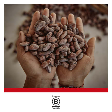 Entreprise B Corp