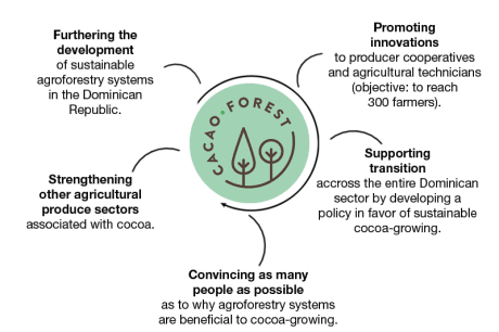 infographie cacaoforest en
