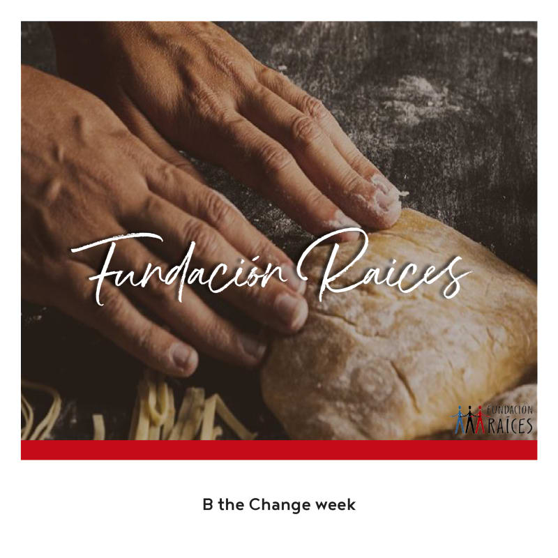 Fundaci&oacute;n Ra&iacute;ces
