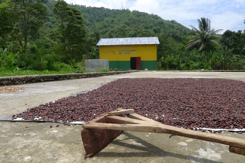 Valrhona.com-Agroforesterie-Haiti