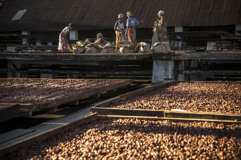 Valrhona.asia - Millot - Raw Chocolate