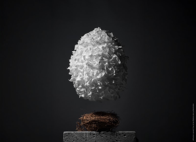 Oeuf EGGXTRA fr&eacute;deric BAU