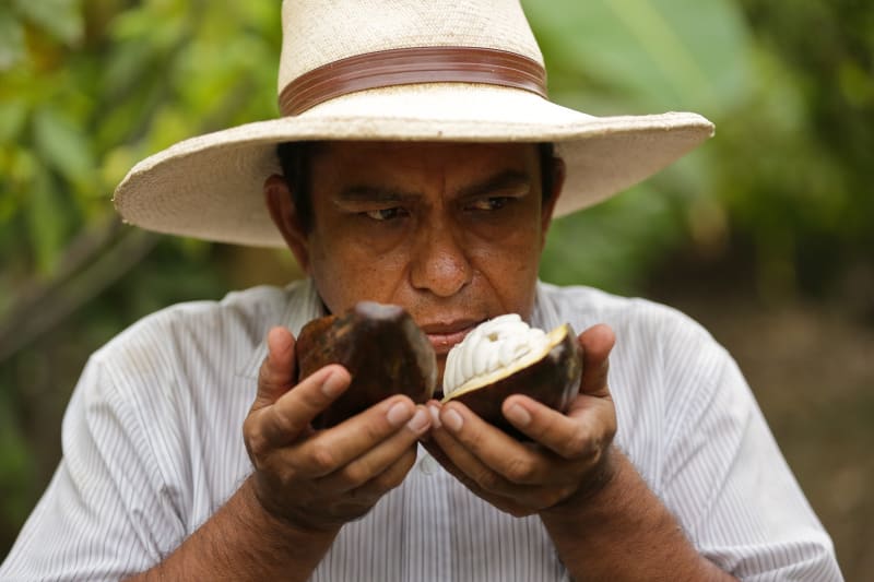 Valrhona.com-Norandino-Gran-Blanco-3