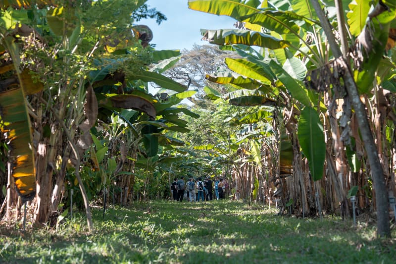 Madagascar plantation trip for cercle V clients