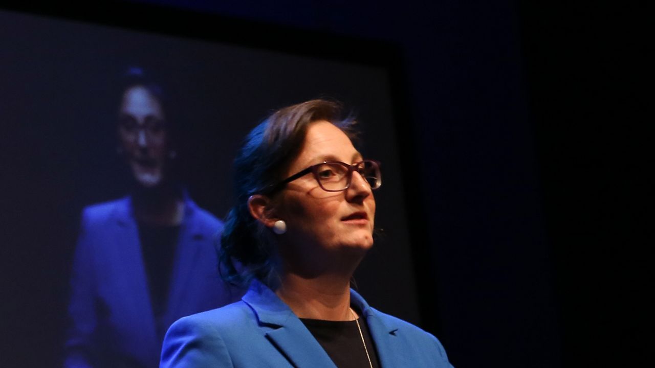 Leadership in Software Design