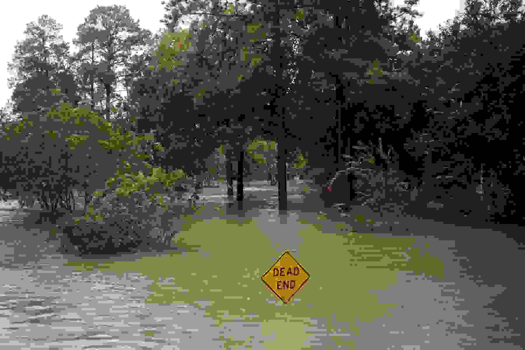 A Dead End sign stands in floodwaters.