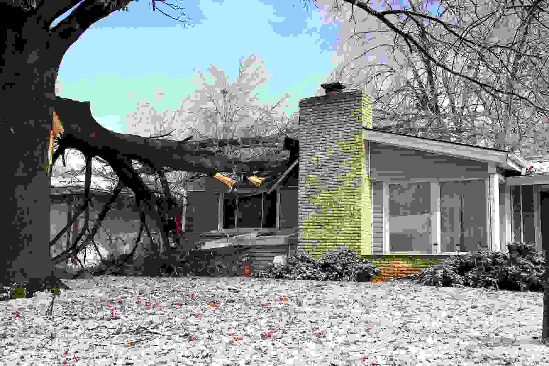 fallen tree on single family house