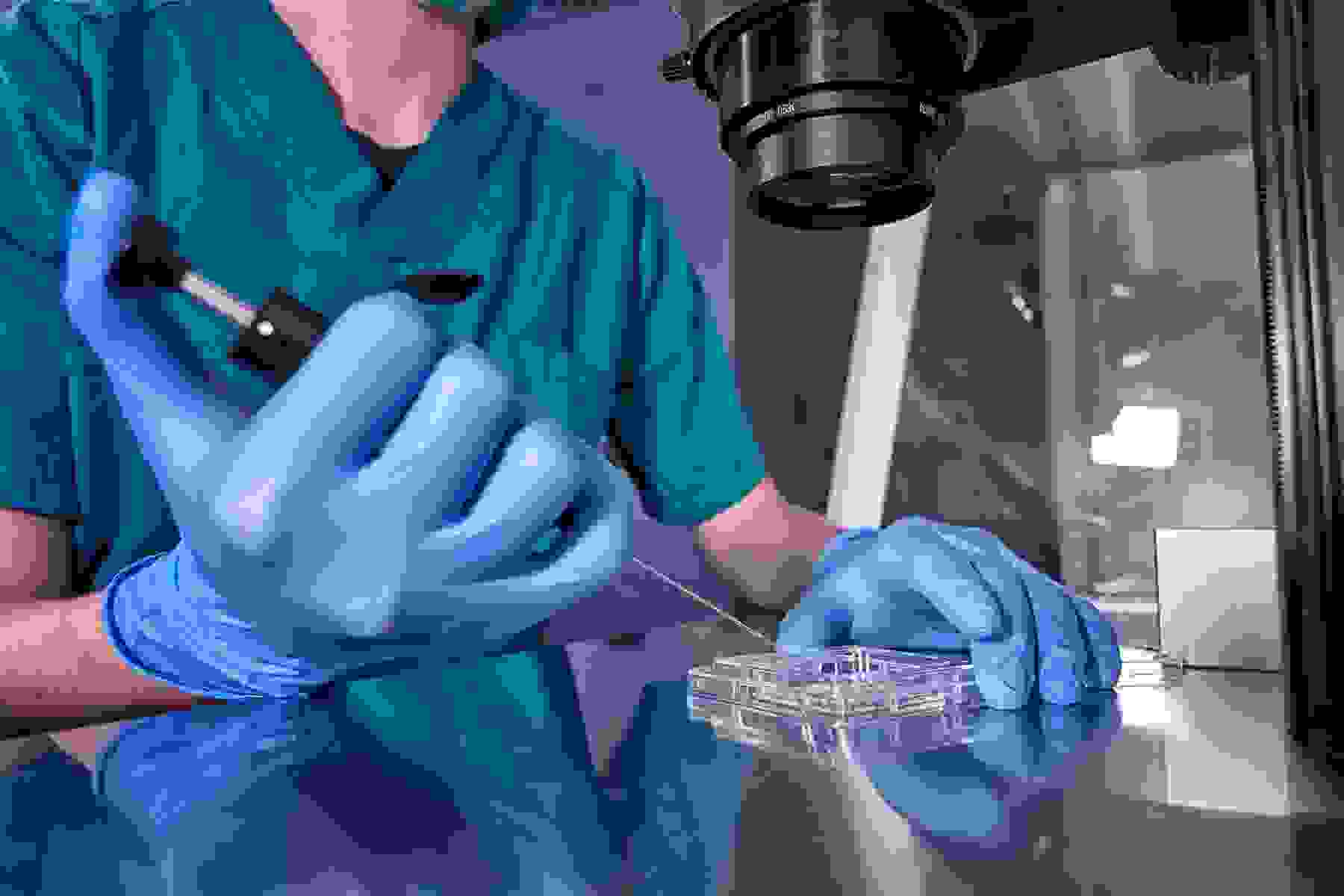 IVF process in laboratory