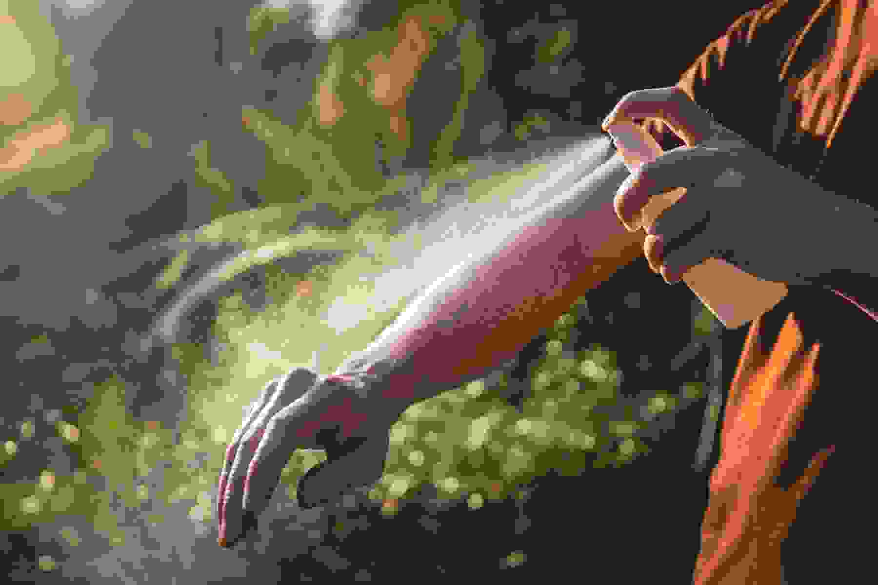 Man applying insect repellent