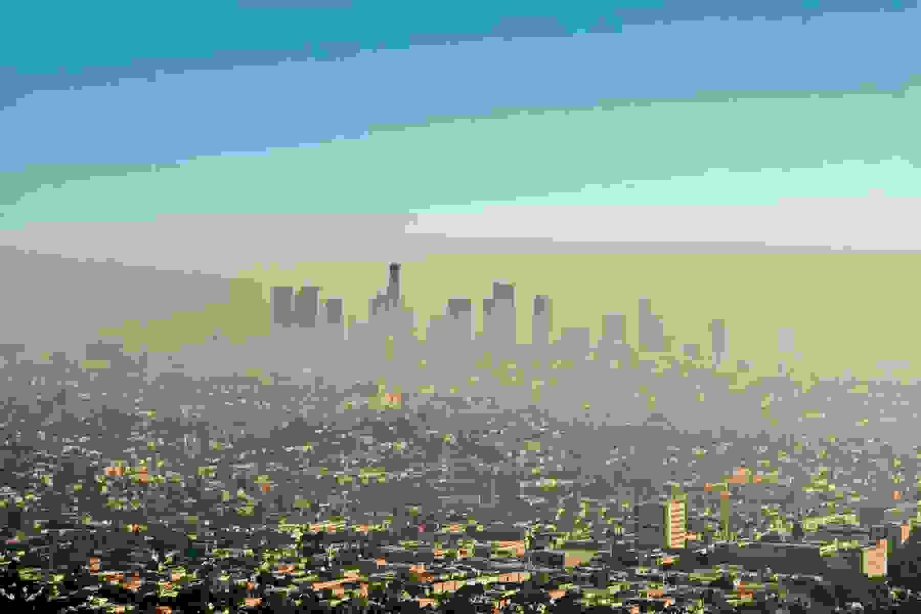 A layer or smog over a city.