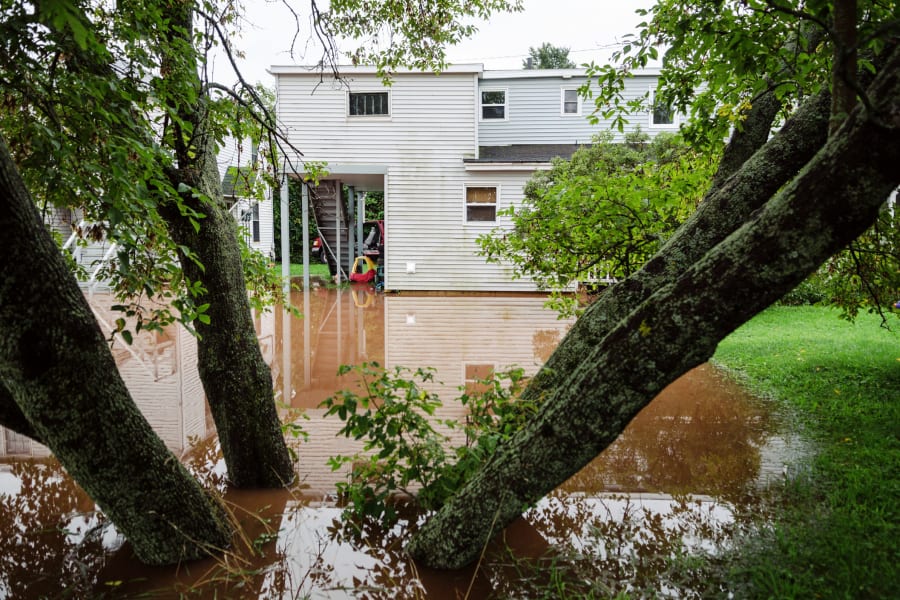 Flooding in a residential backyard