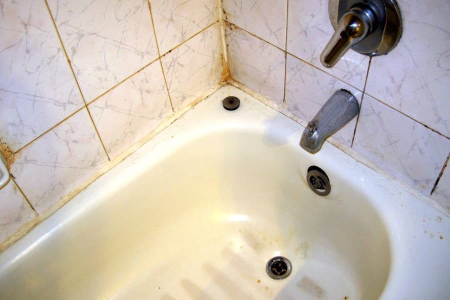 mold in renters bathroom