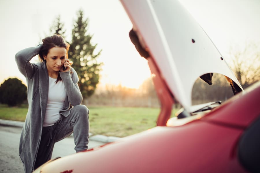Are Rodents Chewing Wires Covered by Car Insurance?