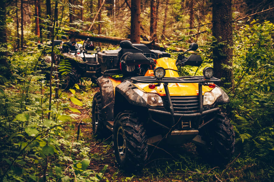 ATVing thru the woods