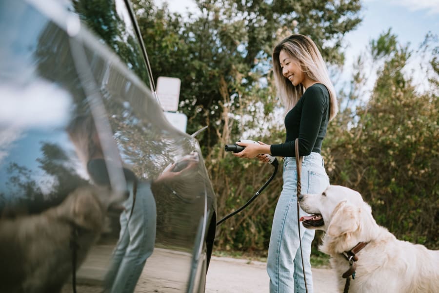 unlocking electric vehicle