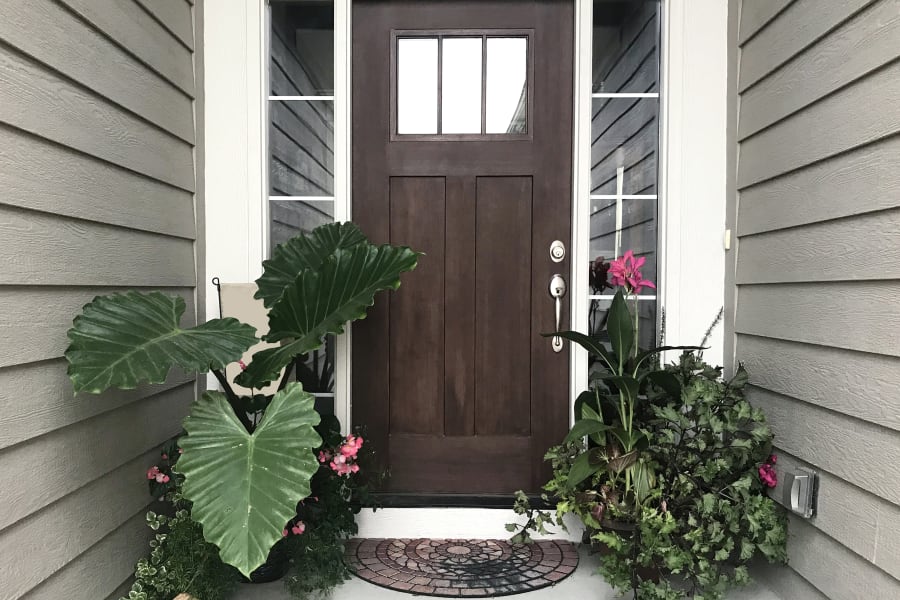 plant decor front door