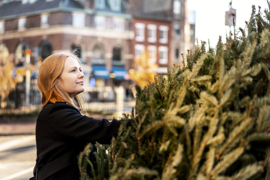 Millennial picking Christmas tree