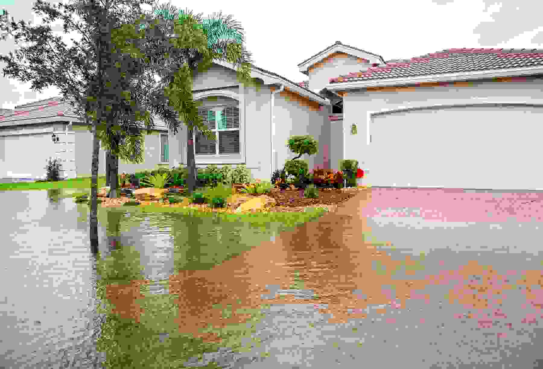 2025 Flood Insurance Report: New Mexico Sees Largest Policy Growth, Utah Has Biggest Decline