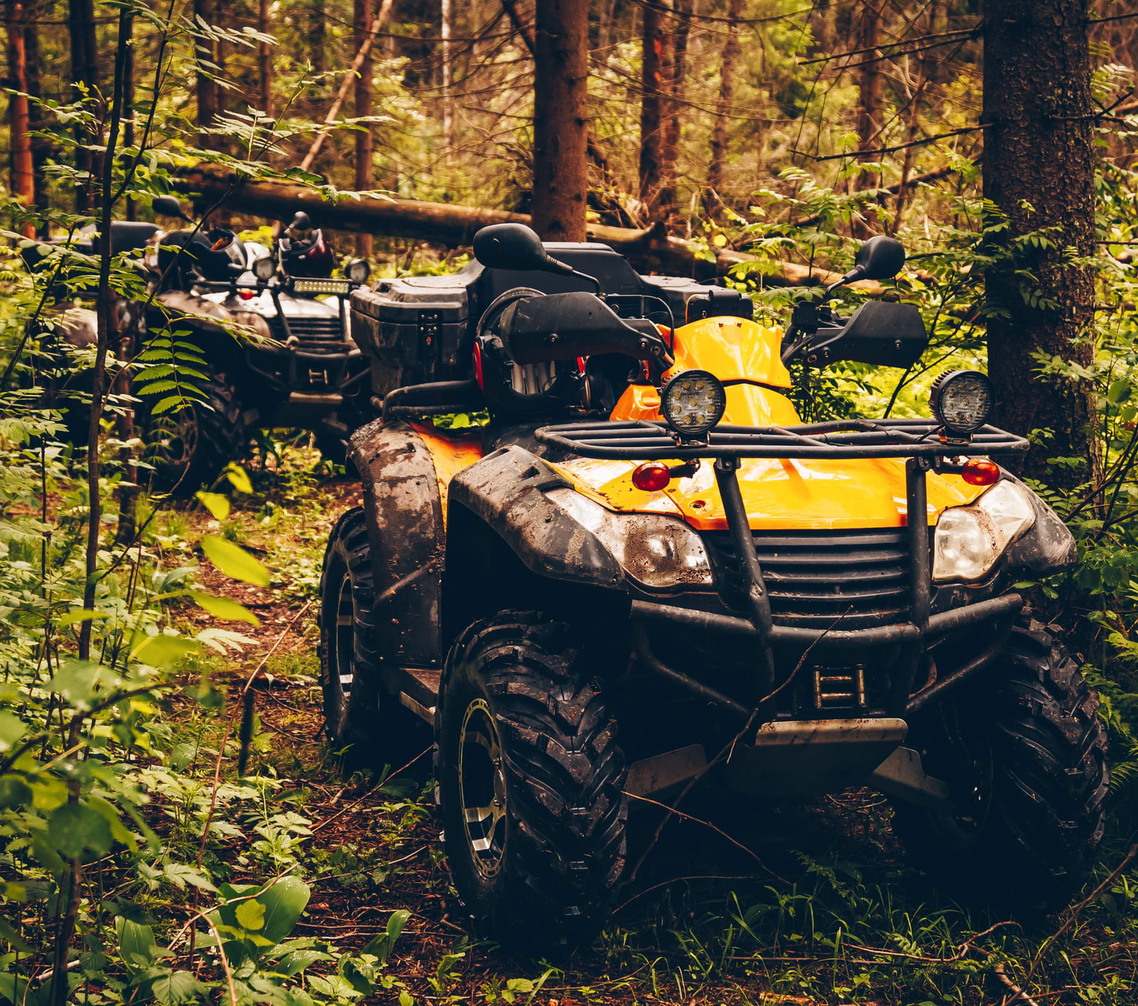 Atv Laws In Minnesota Age Limit Licenses And Where You Can Ride