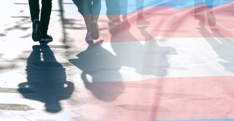 Transgender flag, shadows and silhouettes of people on a road