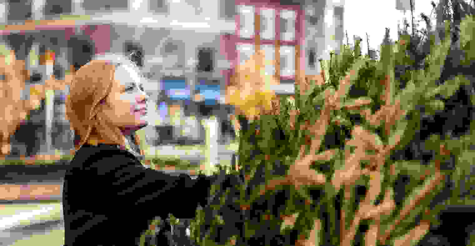 Millennial picking Christmas tree