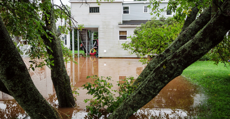 Flooding in a residential backyard