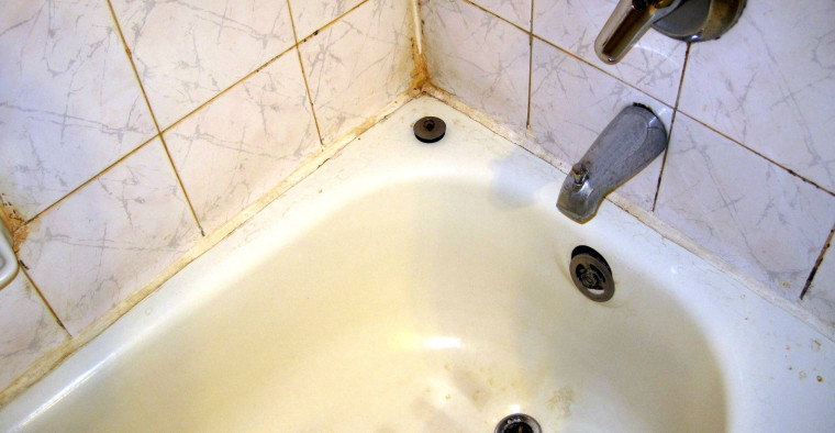 mold in renters bathroom