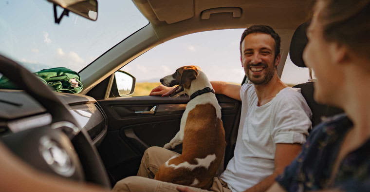 Couple driving in the car with their dog