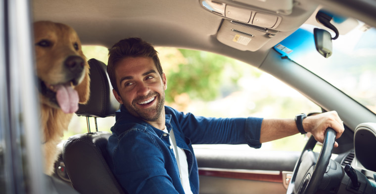Man and dog driving
