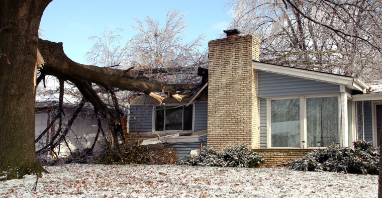 fallen tree on single family house