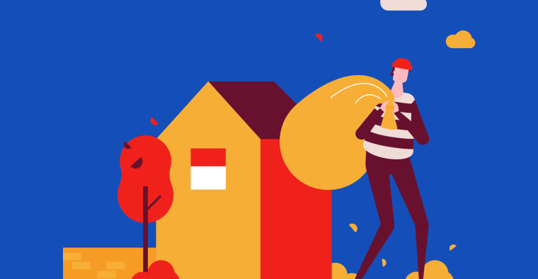 home burglar